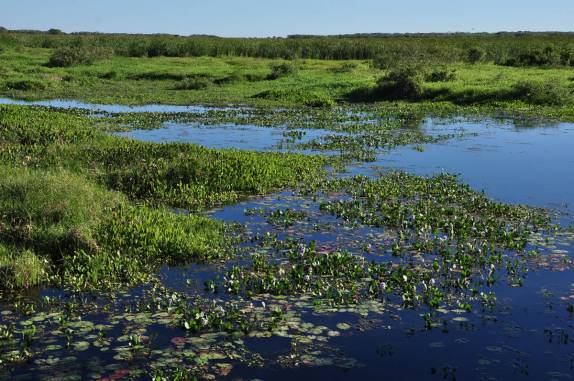 O belo cenário da rodovia Transpantaneira, entre Poconé e Porto Jofre, no Mato Grosso